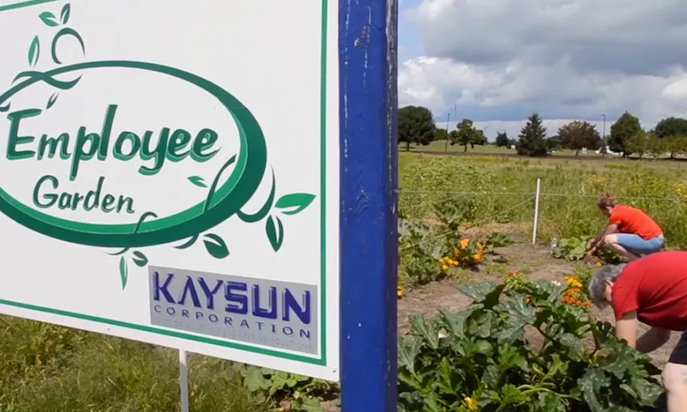 Employee Garden_1000x600